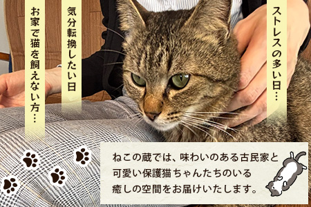 保護猫カフェねこの蔵 カフェ利用チケット｜保護猫カフェ 猫 古民家カフェ チケット 保護猫 支援 鹿島市 猫カフェ カフェ　AA-61