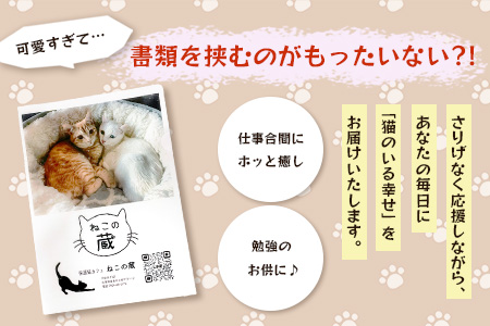 鹿島猫クリアファイル｜保護猫カフェねこの蔵 クリアファイル 保護猫 猫 古民家カフェ 支援 鹿島市 猫カフェ カフェ プレゼント　AA-63