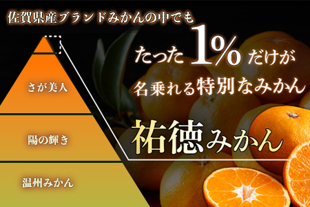 B-100 【数量限定】みかん 約3kg 化粧箱入り 祐徳みかん | ふるさと納税 温州みかん フルーツ 果物 ギフト 贈答 ミカン 蜜柑 柑橘 くだもの 果実 国産 佐賀県 鹿島市 ふるさと 人気 送料無料 【10月下旬～12月頃発送予定】