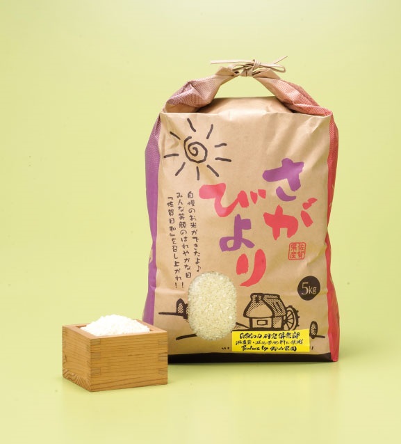 鈴山農園こだわりのお米2種セット（5kg×2種）さがびより・夢しずくB-136 佐賀県 鹿島市 精米 白米 お米 ブランド米