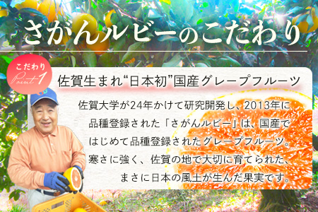 国産 グレープフルーツ「さがんルビー」 約５ｋｇ