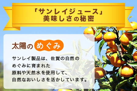 B-245 ＼工場直送／果汁100％ さがみかん100%搾り 330ml × 12本|計3960ml | 温州みかん果汁100% |ストレート|オレンジジュース|濃厚|フルーティ|鹿島市製造|人気|安心安全 |リピーター