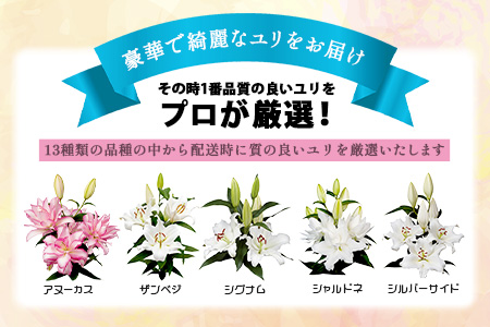 【生産者直送】高レビュー5.0 幸せと笑顔を届けるオリエンタルリリィ ユリ 百合 花 切り花 フラワー 艶やか 美しい 華やか 可憐 鮮やか 長持ち 強い 有機肥料 自然 人気 ラッピング プレゼント 贈り物 贈答 佐賀県 鹿島市 送料無料 B-313