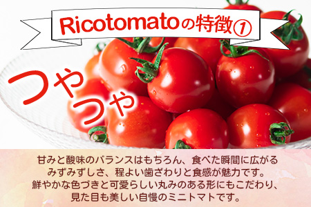 【先行予約】 たにぐちファーム 完熟ミニトマト 約1kg 『Ricotomato とりこになるトマト』 B-324