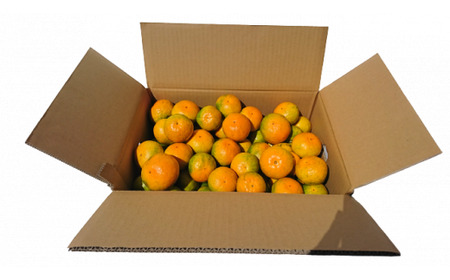 B-342【先行予約】【10月頃お届け】鹿島 平倉果樹園の極早生みかん 約5.5kg(小玉)