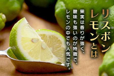 B-367リスボンレモン【約5kg】メディアも注目の柑橘類の名人直送！レモン れもん 檸檬 果物 生搾り 料理 菓子 サワー お酒 国産 佐賀県鹿島市産 人気