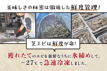 B-392 冷凍芝エビ1.5kg・冷凍シジミ1.5kg