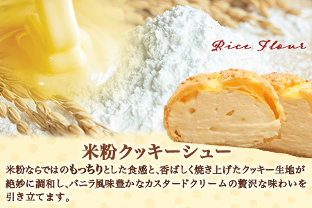 B-480　米粉のクッキーシューと米粉のチョコクッキーシュー10個詰め合わせ　【バレンタイン・ホワイトデー対応可】