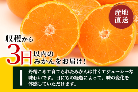 ＼農家直送＆鮮度抜群！／収穫後3日以内発送・松本農園の温州みかん 約5kg｜有明海の潮風で育った鹿島産みかん｜フレッシュ｜佐賀県鹿島市 送料無料 B-530