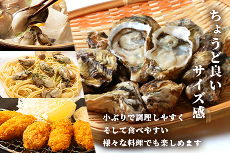 B-567 有明海産 養殖牡蠣 3kg 冬季限定｜殻付き生牡蠣｜加熱調理用｜新鮮 佐賀県産 カキ【レンジで簡単調理】お正月 夕食 おつまみ おかず 佐賀県 鹿島市