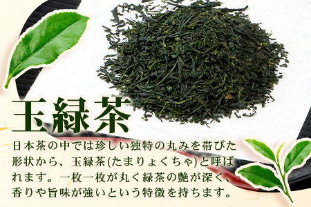 期間限定増量【ギフトにおすすめ】 佐賀県産 うれしの茶 (やぶきた茶) 100g×5本【合計500g】美味しいお茶を贈り物に B-570