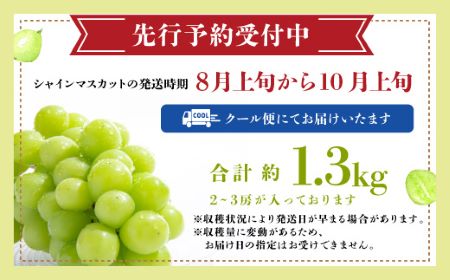 【ふるさと納税】【先行予約】ご家庭用 シャインマスカット 約1.3kg 2～3房 佐賀県産 【2025年8月上旬以降発送】 | ふるさと納税 シャインマスカット マスカット ぶどう 葡萄 果物 フルーツ 果実 季節 旬 冷蔵 期間限定 国産 佐賀県 鹿島市 ふるさと 人気 送料無料 B-658