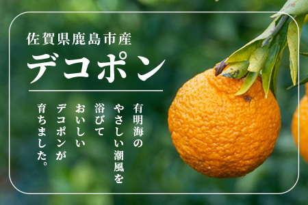 予約受付 基準クリアの高級柑橘【デコポン】約5kg 不知火 しらぬい でこぽん みかん 蜜柑 ミカン オレンジ 柑橘 フルーツ 果物 贈り物 贈答 プレゼント 高級 ブランド 限定 ギフト B-672