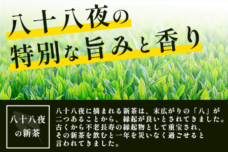 佐賀県産  うれしの茶 100g×2本  美味しいお茶を贈り物に ご自宅用にもおススメ 嬉野茶 緑茶 日本茶 リーフ 茶葉  B-750