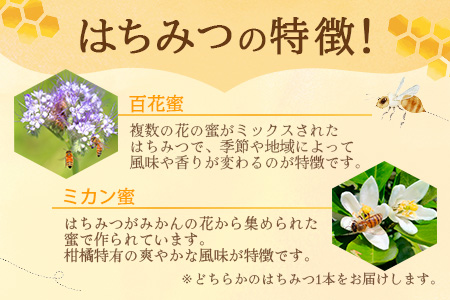 鹿島市産 天然の恵み 100% はちみつ 600g 化粧箱入 B-806 ハチミツ 蜂蜜 ハニー 天然はちみつ 天然蜂蜜 国産