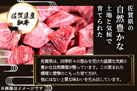 B-81 ＼生活応援／佐賀産 和牛 カレー・シチュー用 600g 佐賀産和牛 肉 佐賀 牛肉 佐賀県 鹿島市 冷凍 送料無料 人気