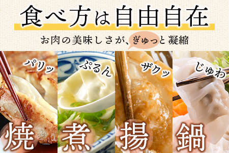 B-86　旨い！＼生活応援 たっぷり大容量／佐賀産牛 佐賀産豚の手作りギョーザ 【12ケ入り×5パック】‖合計60個 ‖ ストック 夕食 家族 ボリューム 冷凍 餃子 ぎょうざ おかず おすすめ 美味しい リピーター 人気