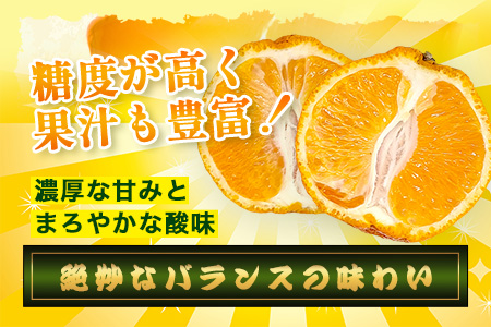 B-896【訳あり】 佐賀産不知火 約10kg（箱込み）佐賀県 鹿島市