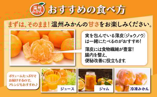 B-99  【先行予約】佐賀県鹿島産『温州みかん』約１１ｋｇ【11月中旬から順次発送】ふるさと納税 みかん ミカン 果物 フルーツ 果実 蜜柑 お取り寄せ ギフト 国産 佐賀県産 佐賀県 鹿島市 ふるさと 人気 送料無料 B-99