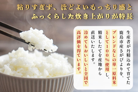 【鹿島市産】＼生産者直送／ さがびより 白米5kg　さがびより 佐賀県産さがびより 佐賀県鹿島市 お米 米 精米 玄米 ふるさと納税 お米 ご家庭用米 主食ギフト 美味しいお米 お取り寄せ 贈答用米 食卓応援　C-153  白米5kg