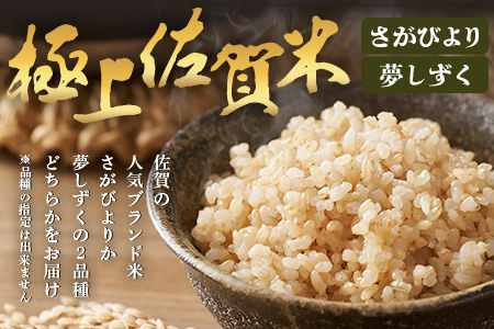 令和7年産 鹿島市産 [さがびよりor夢しずく] 5kg 1袋 【品種指定不可】 玄米 精米 10月初旬から発送開始予定　C-154
