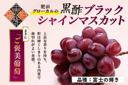 黒酢ブラックシャインマスカット 富士の輝き 1房(700g) |ふるさと納税 シャインマスカット マスカット ぶどう 葡萄 果物 黒酢 ブラックシャインマスカット フルーツ ふるさと くだもの スイーツ 佐賀県鹿島市 人気 送料無料　C-156