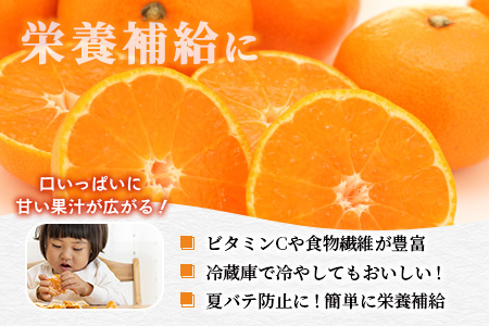 C-28 高級 JA ハウスみかん（2.2kg）【化粧箱入】【2025年8月上旬頃まで発送予定】夏にしか味わえない期間限定の美味しいハウスみかん★ 蜜柑 ミカン 果物 フルーツ くだもの  甘い 絶品 安全安心 新鮮 人気 大好評 おすすめ   佐賀県 鹿島市 送料無料