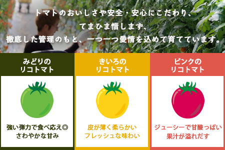 【3回定期便】【先行予約】 カラフルミニトマト 【少量パック】 120gx3p　たにぐちファーム カラフルミニトマト 360g とりこになるトマト 野菜 とまと トマト リコピン 佐賀産 佐賀県 鹿島市　D-241 カラフルミニトマト 【3回定期便】