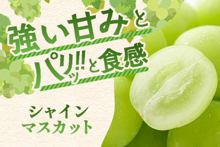 朝採れシャインマスカット＆クイーンニーナ食べ比べセット約2kg 3～4房【先行予約】【2025年8月下旬～9月下旬配送予定】朝採れ即日発送！ジューシー高糖度 新鮮 生産者直送 果物 フルーツ 冷蔵便 丁寧なラッピング ギフト 贈答 化粧箱入り 送料無料 D-243
