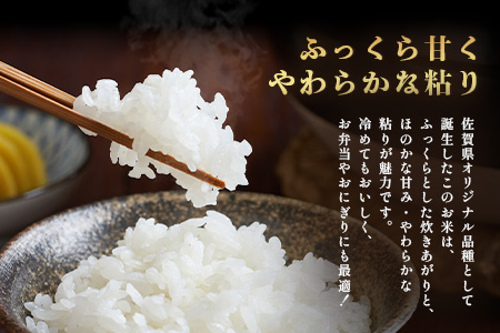 【鹿島市産】＼生産者直送／ 夢しずく 白米10kg　夢しずく 佐賀県産夢しずく 佐賀県鹿島市 お米 米 精米 玄米 ふるさと納税 お米 ご家庭用米 主食ギフト 美味しいお米 お取り寄せ 贈答用米 食卓応援　D-248 白米10kg
