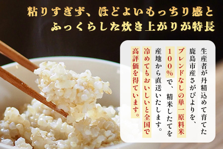 【鹿島市産】＼生産者直送／ さがびより 玄米10kg　さがびより 佐賀県産さがびより 佐賀県鹿島市 お米 米 精米 玄米 ふるさと納税 お米 ご家庭用米 主食ギフト 美味しいお米 お取り寄せ 贈答用米 食卓応援　D-249 玄米10kg