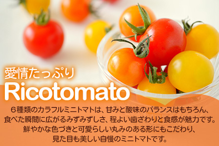 【先行予約】 カラフルミニトマト『Ricotomato』 【1kg×2回定期便】【2026年1月から出荷】 D-92