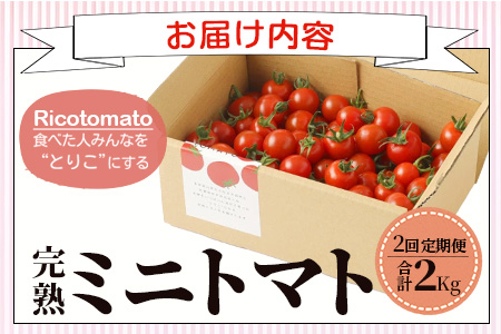【先行予約】【2026年1月から出荷】 完熟ミニトマト『Ricotomato』 【1kg×2回定期便】 D-93