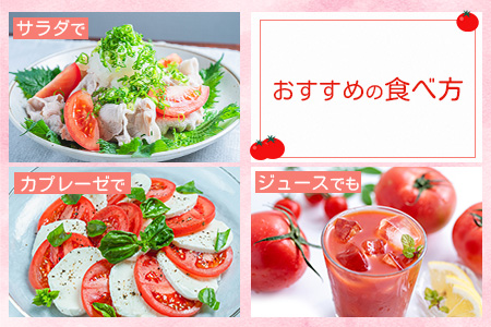 E-107　【先行予約】たにぐちファーム 大玉トマト 【4kg×6回定期便】【2023年12月から出荷】Ricotomato とりこになるトマト