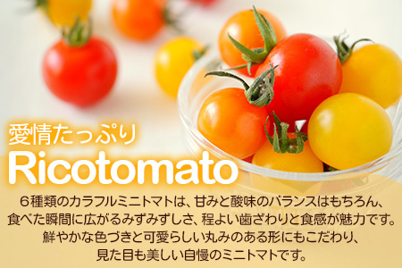 【先行予約】 カラフルミニトマト『Ricotomato』 【1kg×3回定期便】 【2026年1月から出荷】 E-58