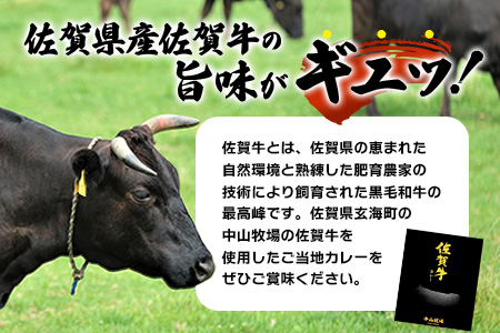 佐賀牛カレー 150g 30個 | 佐賀牛と野菜の深い味わい | 贅沢レトルトカレー 30個セット F-74 ご当地カレー 温めるだけ 湯煎 牛カレー 防災 非常食 常備食