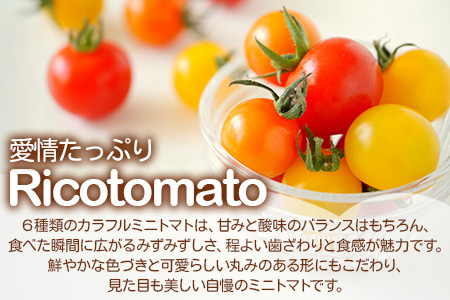 【先行予約】 カラフルミニトマト『Ricotomato』 【1kg×5回定期便】【2024年12月から出荷】 G-24