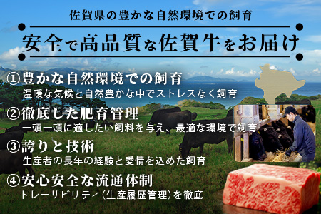 ＼極上のご褒美肉！／佐賀牛サーロインステーキ 200g×5枚｜A5・A4等級 厳選黒毛和牛｜とろける霜降り 高級ステーキ｜贈答・ギフト対応可｜国産牛｜佐賀県鹿島市 送料無料 G-67