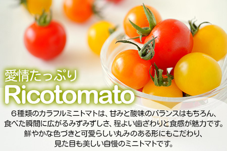 【先行予約】 カラフルミニトマト 『Ricotomato』 【1kg×7回定期便】 【2023年12月から出荷】 I-18