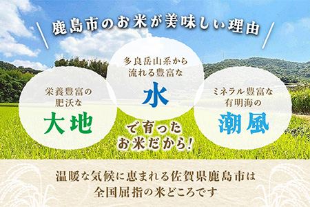 夢しずく 定期便 6ヶ月 佐賀県産 玄米 10kg《6ヶ月連続 毎月お届け》J-8 6回 新米 玄米10kg×6回定期便
