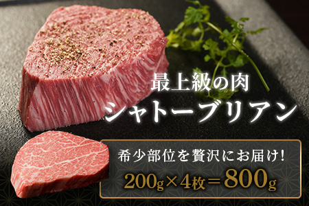 佐賀牛　最高級部位『シャトーブリアン』800ｇ（200ｇ×４枚）N-19