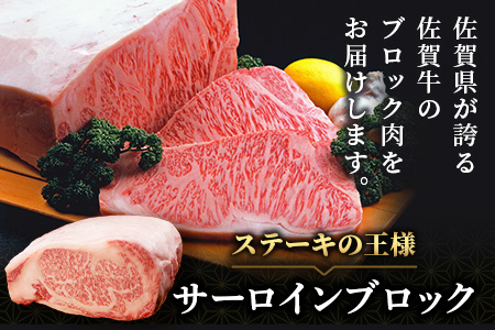 佐賀牛A5ランク サーロインステーキブロック肉3kg V-52
