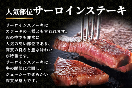 【６回定期便】 佐賀牛Ａ５ランク 大還元祭！！総重量5.7キロ＋500ｇ肉の女王ヒレステーキとサーロインステーキ ６回定期便 今だけ！佐賀牛ロース肉しゃぶしゃぶ用500ｇ付き W-9