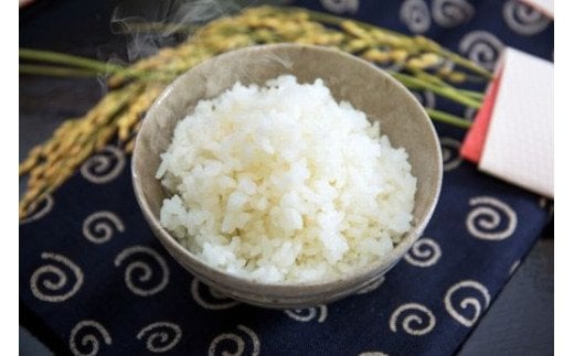 A-133 【生産者直送】佐賀県鹿島市産 さがびより　玄米３ｋｇ