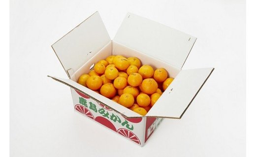 B-279佐賀県鹿島産『温州みかん』小玉 約１１ｋｇ