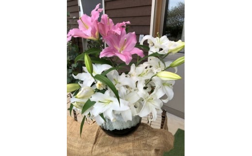 生産者直送】高レビュー5.0 幸せと笑顔を届けるオリエンタルリリィ ユリ 百合 花 切り花 フラワー 艶やか 美しい 華やか 可憐 鮮やか 長持ち 強い 有機肥料 自然 人気 ラッピング プレゼント 贈り物 贈答 佐賀県 鹿島市 送料無料 B-313