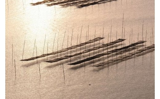 B-466 繁盛海苔（焼のり）全形30枚入り