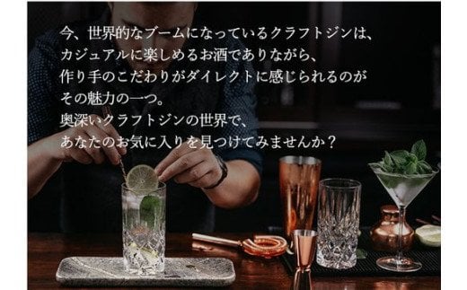 C-45　《おもてなしセレクション金賞》ジャパニーズジン 赤鳥居プレミアム 光武酒造場