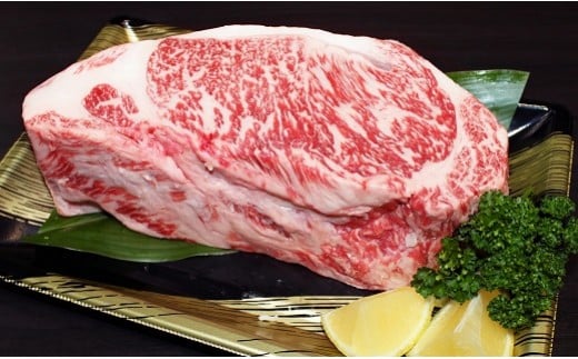 【初回は1月スタート】W-3 佐賀牛5点セット【全3回定期便お届け】総計10.2kg