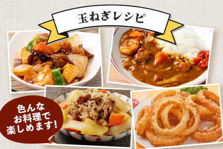 【先行予約】鹿島市産　玉ねぎ　10kg（MLサイズ）農家直送　５月以降発送予定　B-736